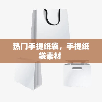 热门手提纸袋，手提纸袋素材 