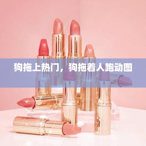 狗拖上热门，狗拖着人跑动图 