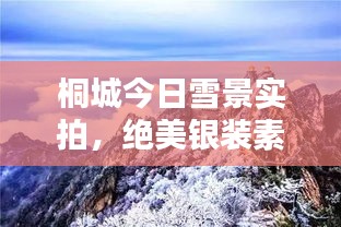 桐城今日雪景实拍，绝美银装素裹，不容错过！