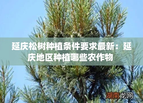 延庆松树种植条件要求最新：延庆地区种植哪些农作物 