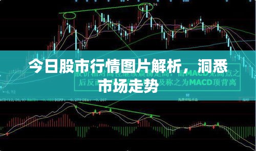 今日股市行情图片解析，洞悉市场走势