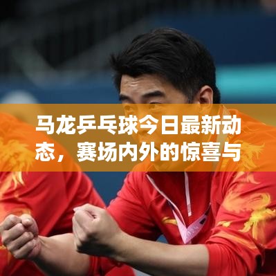 马龙乒乓球今日最新动态，赛场内外的惊喜与热议