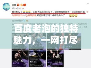 百度老泡的独特魅力，一网打尽精彩瞬间！