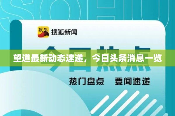 威风凛凛 第4页