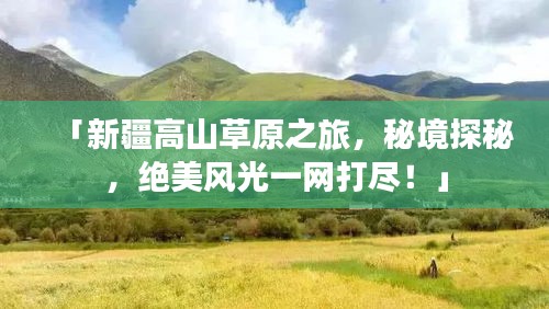 「新疆高山草原之旅，秘境探秘，绝美风光一网打尽！」