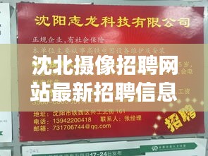 沈北摄像招聘网站最新招聘信息：沈阳沈北照相地方 