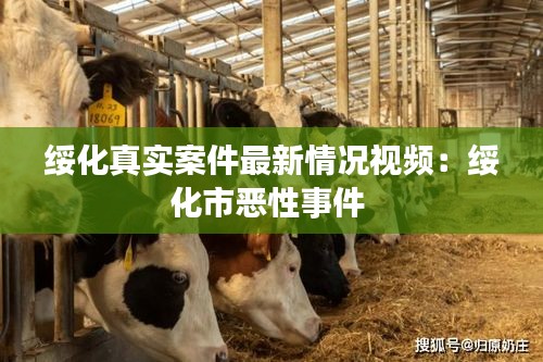 绥化真实案件最新情况视频：绥化市恶性事件 
