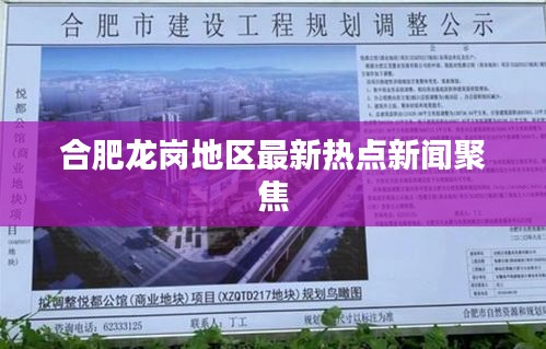 合肥龙岗地区最新热点新闻聚焦