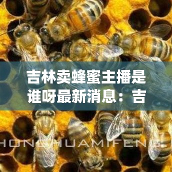 吉林卖蜂蜜主播是谁呀最新消息：吉林蜜蜂育种场种蜂王简介 
