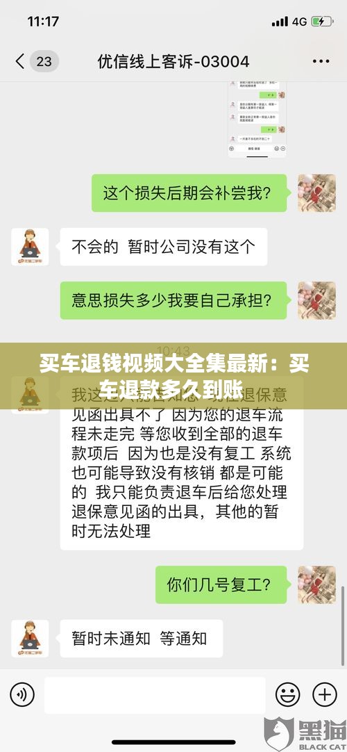 买车退钱视频大全集最新：买车退款多久到账 
