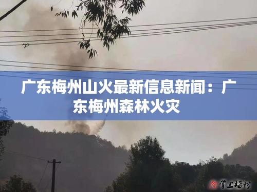 广东梅州山火最新信息新闻：广东梅州森林火灾 