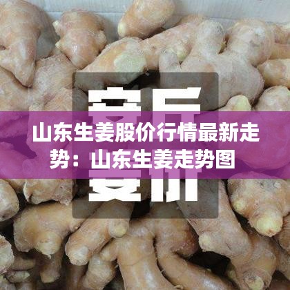 山东生姜股价行情最新走势：山东生姜走势图 