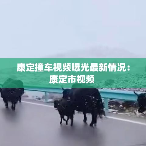 康定撞车视频曝光最新情况：康定市视频 