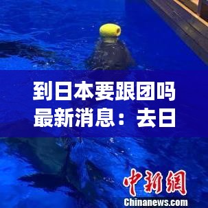 到日本要跟团吗最新消息：去日本旅行要隔离吗 