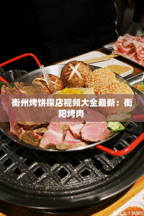 越鸟南栖 第4页