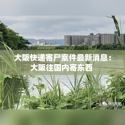 打马虎眼 第4页