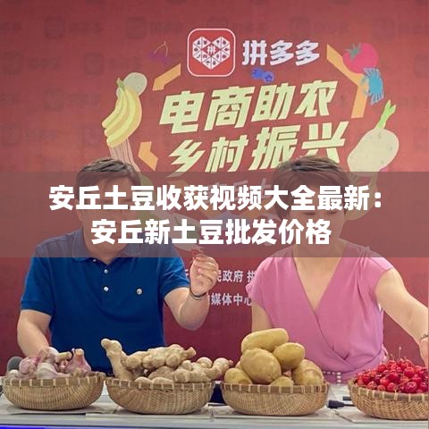 安丘土豆收获视频大全最新：安丘新土豆批发价格 