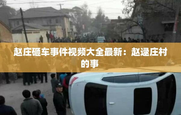 赵庄砸车事件视频大全最新：赵逯庄村的事 