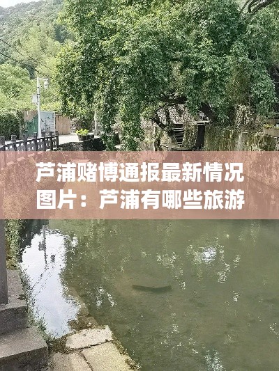 芦浦赌博通报最新情况图片：芦浦有哪些旅游景点 