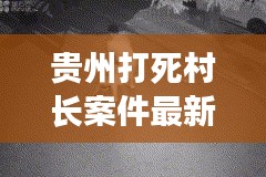 贵州打死村长案件最新进展：贵州殴打 