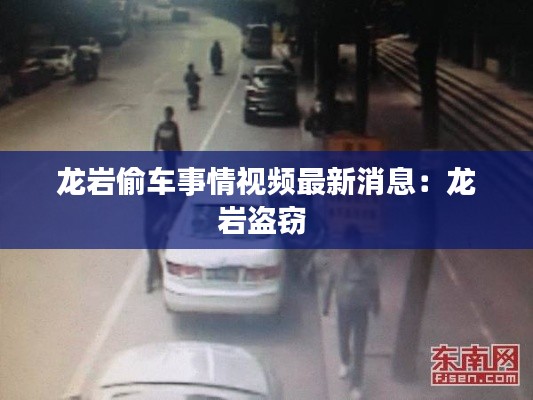 龙岩偷车事情视频最新消息：龙岩盗窃 