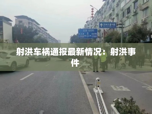 射洪车祸通报最新情况：射洪事件 