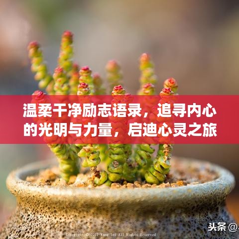 温柔干净励志语录，追寻内心的光明与力量，启迪心灵之旅！