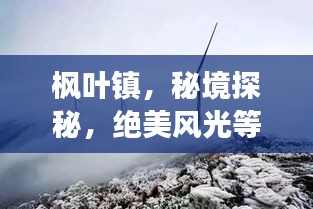 枫叶镇，秘境探秘，绝美风光等你来发现！旅游攻略全解析