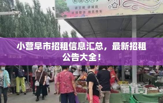 小营早市招租信息汇总，最新招租公告大全！
