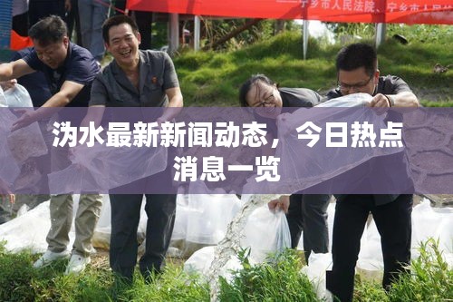 沩水最新新闻动态，今日热点消息一览