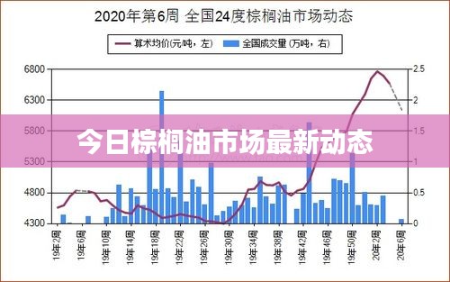 将机就机 第3页