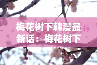 梅花树下韩漫最新话：梅花树下唯美图片 