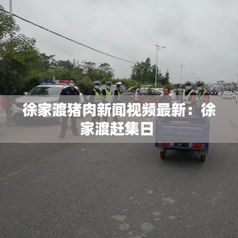 晋惠闻蛙 第4页