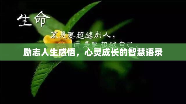 励志人生感悟，心灵成长的智慧语录