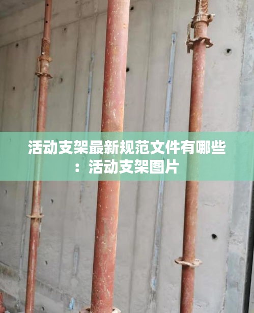 活动支架最新规范文件有哪些：活动支架图片 