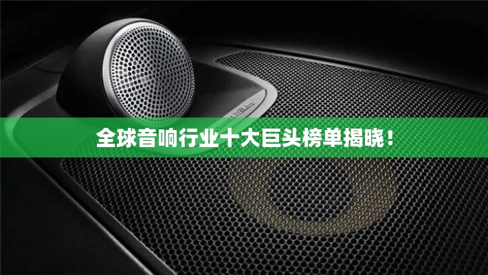 全球音响行业十大巨头榜单揭晓！