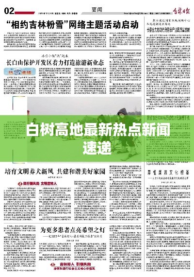 白树高地最新热点新闻速递