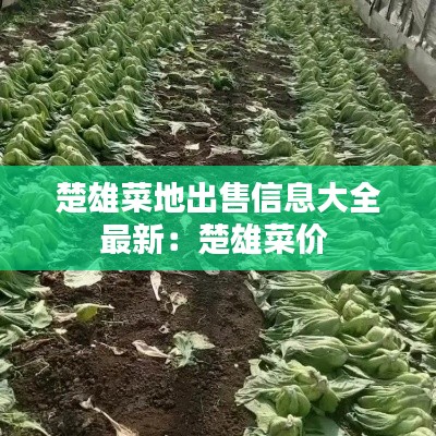楚雄菜地出售信息大全最新：楚雄菜价 