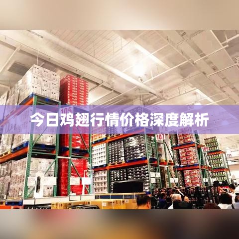 今日鸡翅行情价格深度解析