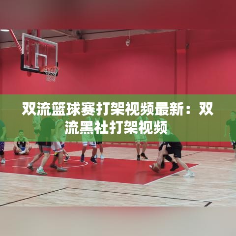 双流篮球赛打架视频最新：双流黑社打架视频 