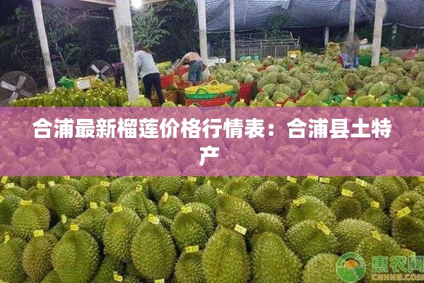 合浦最新榴莲价格行情表：合浦县土特产 