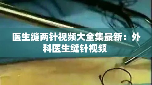 两袖清风 第3页