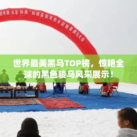 世界最美黑马TOP榜，惊艳全球的黑色骏马风采展示！