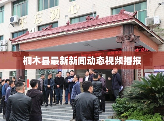 桐木县最新新闻动态视频播报