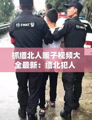 抓缅北人贩子视频大全最新：缅北犯人 