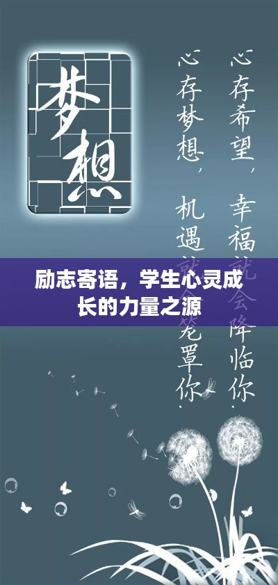 目不转睛 第3页