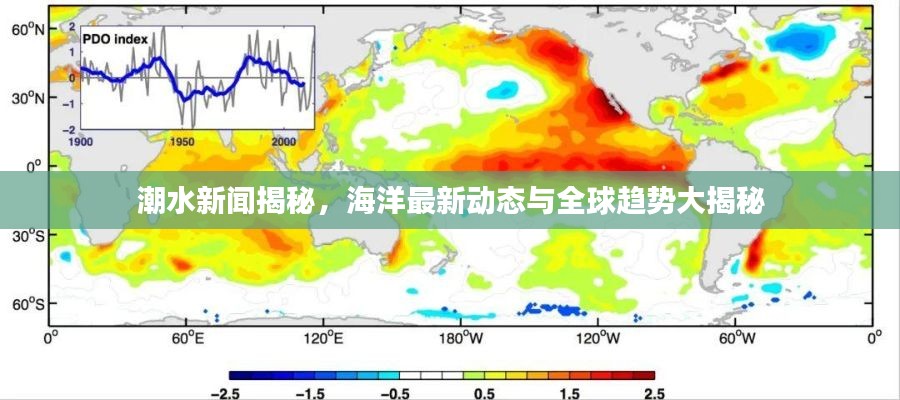 潮水新闻揭秘，海洋最新动态与全球趋势大揭秘