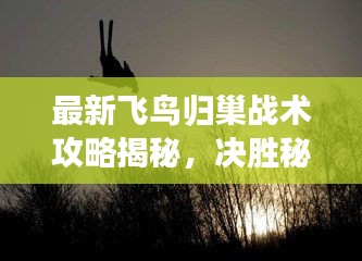 最新飞鸟归巢战术攻略揭秘，决胜秘诀大揭秘！
