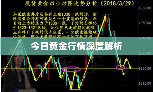 今日黄金行情深度解析