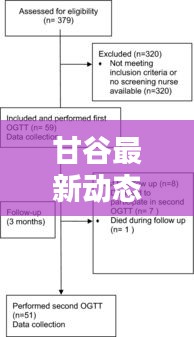 甘谷最新动态速递，今日热点消息一网打尽！